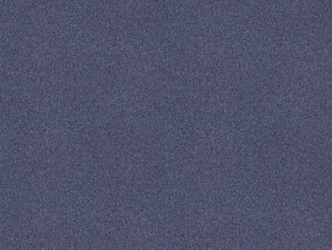 Tessera basis pro - 4380 blackcurrant